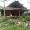 Peternakan Ayam Telur di Kecamatan Kemiri Diduga Tidak Berizin, Warga Keluhkan Bau Tak Sedap