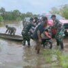 Aksi Tanggap Bencana, Personel Satgas Pamtas Yonif 726/Tml Bantu Korban Banjir di Jalan Trans Merauke-Boven