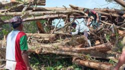 Babinsa Koramil Mapurujaya dan Warga Gotong Royong Bersihkan Pohon Tumbang