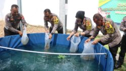 Manfaatkan Lahan Pekarangan Kantor Satpas Prototype, Polresta Tangerang Budidaya Ikan dan Sayuran Dukung Ketahanan Pangan