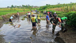 Koramil 0808/02 Garum Bersama Warga Lakukan Normalisasi Sungai dan Syukuran Dawuhan