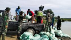 Semangat Juang Tak Kenal Lelah, Babinsa Kodim Bojonegoro dan Masyarakat Benahi Tanggul Jebol