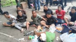 Sub Satgas Pemberantasan Narkoba Berhasil Gagalkan Peredaran 20 Kg