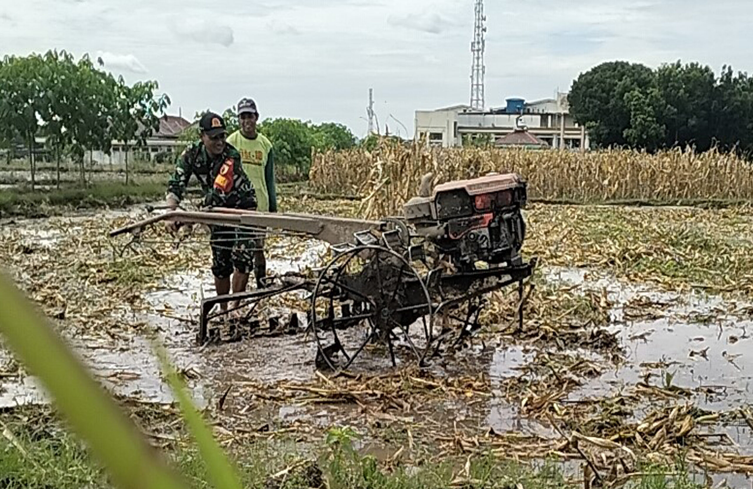 Babinsa Rejowinangun Dampingi penyiapan Lahan Musim Tanam Padi di Kademangan