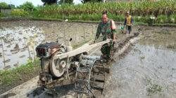 Turun Ke Sawah, Babinsa Bendogerit Bantu Siapkan Lahan Petani