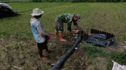 Jaga Tersedia Air, Babinsa Kendalrejo Dampingi Pengaliran Pompa Air Pok Tani Sari Murni