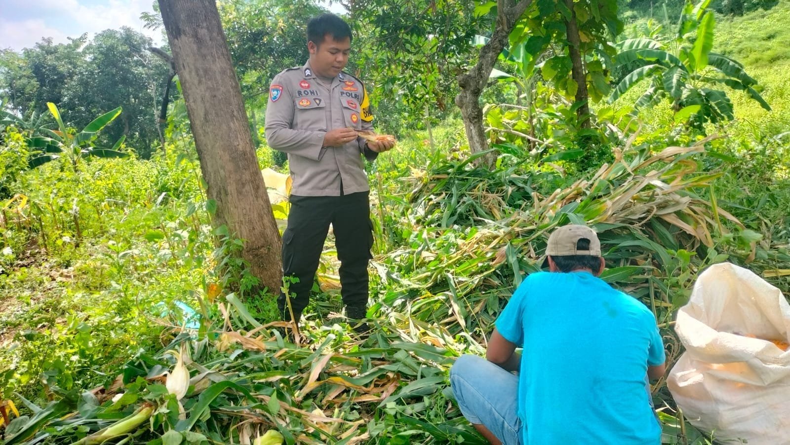 Bhabinkamtibmas Polsek Gading Dampingi Petani Jaga Ketahanan Pangan Nasional