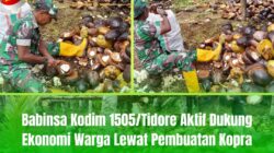 Babinsa Kodim 1505/Tidore Aktif Dukung Ekonomi Warga Lewat Pembuatan Kopra