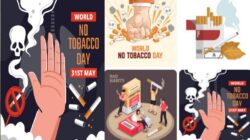 Geger Soppeng, Ketua HIPTERS Diduga Produksi Rokok Ilegal Kartu AS