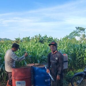 Polsek Pasirian Dukung Program Ketahanan Pangan dengan Pemupukan Jagung