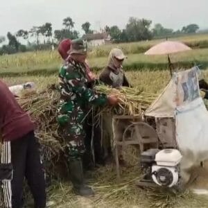 Koramil Banyuanyar Dampingi Petani Sukseskan Gerakan Darurat Pangan Nasional