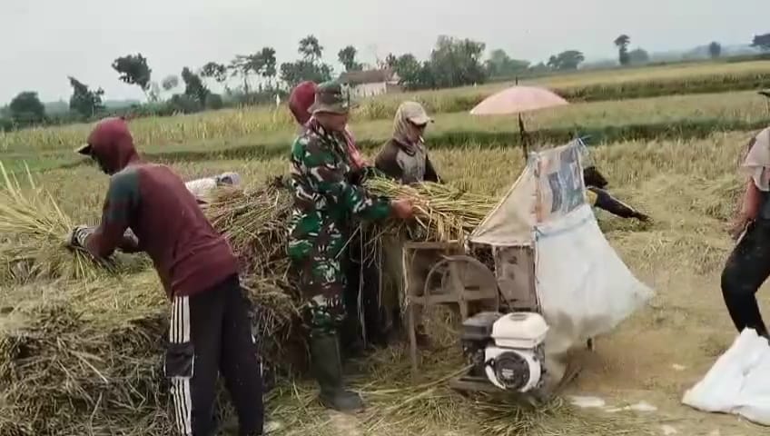 Koramil Banyuanyar Dampingi Petani Sukseskan Gerakan Darurat Pangan Nasional