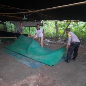 Polsek Bagor Ungkap Arena Sabung Ayam Ilegal di Desa Sugihwaras, Nganjuk