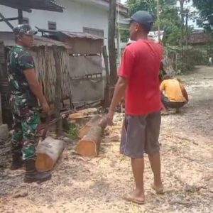 TNI Koramil Leces Pelopori Kerja Bakti Bersihkan Jalan Desa Kerpangan, Wujud Nyata Kemanunggalan dengan Rakyat TNI Koramil Leces Pelopori Kerja Bakti Bersihkan Jalan Desa Kerpangan, Wujud Nyata Kemanunggalan dengan Rakyat