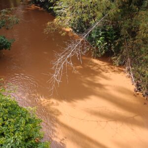 Warga Toiba Desak DLH Dan Disnaker Banggai Tindak Tegas PT. ABM, Dugaan Cemari Air Sungai Dan Rekrutmen Tenaga Kerja.