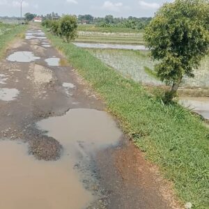 Warga Desak Dinas PUPR Cilacap Segera Perbaiki Jalan Ci’awitali