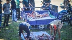 Berbagi Menyambut Idul Adha 1446 H, Pangdam Berikan Tiga Ekor Sapi Qurban di Masjid Istiqlal Kodam XVIII/Kasuari