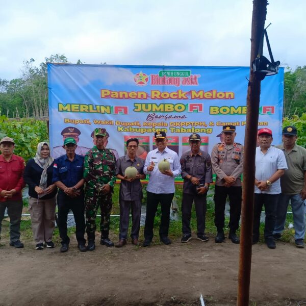 Tabalong SMART: Petani Pugaan Sukses Panen Melon, TNI dan Pemda Hadir Beri Semangat