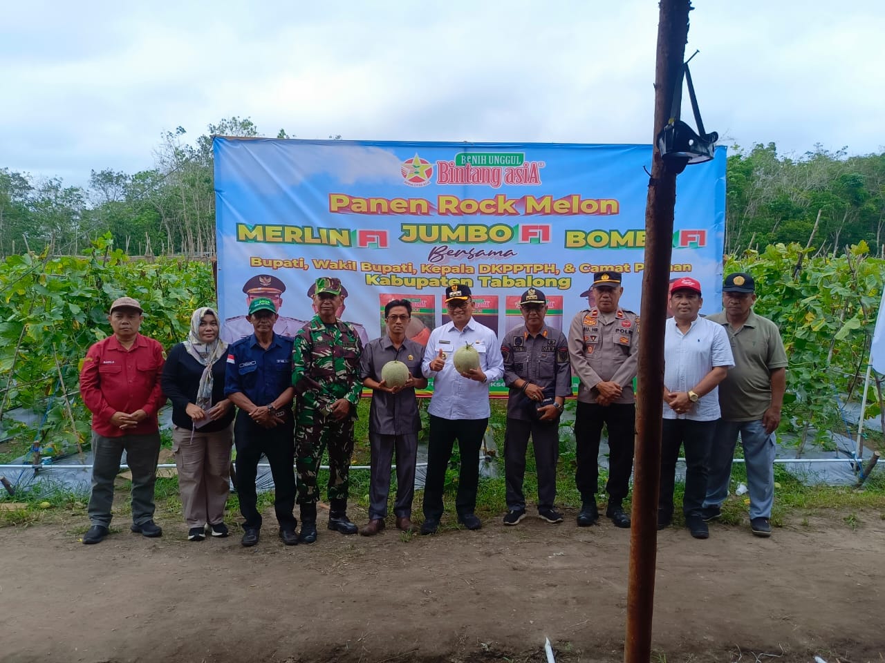 Tabalong SMART: Petani Pugaan Sukses Panen Melon, TNI dan Pemda Hadir Beri Semangat