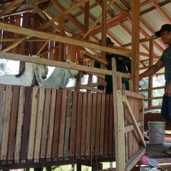 Pererat Silaturahmi, Babinsa Sertu Sumardi Bantu Warga Kembangkan Peternakan