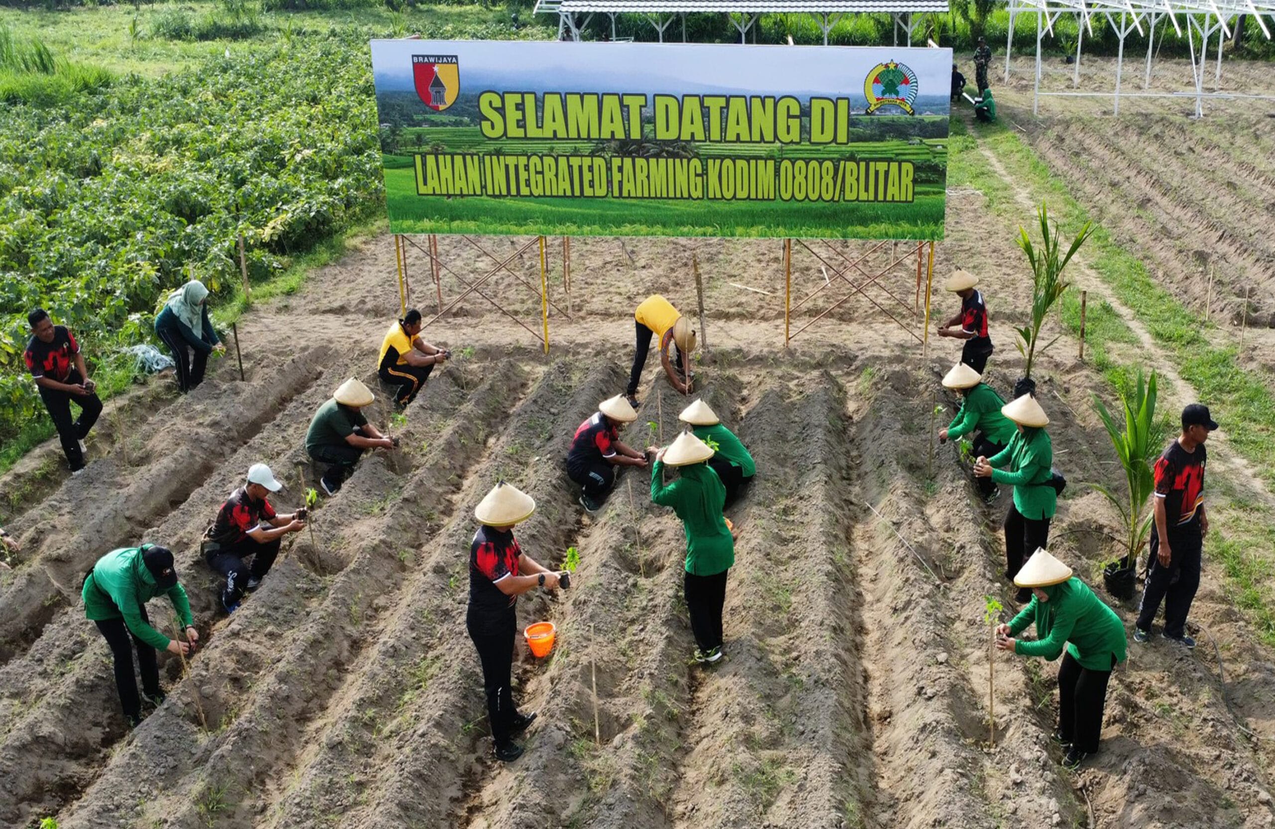 Pematangan Lahan Siap, Kodim 0808/Blitar Tanam Bibit Di Lahan Integrated Farming Desa Dandong