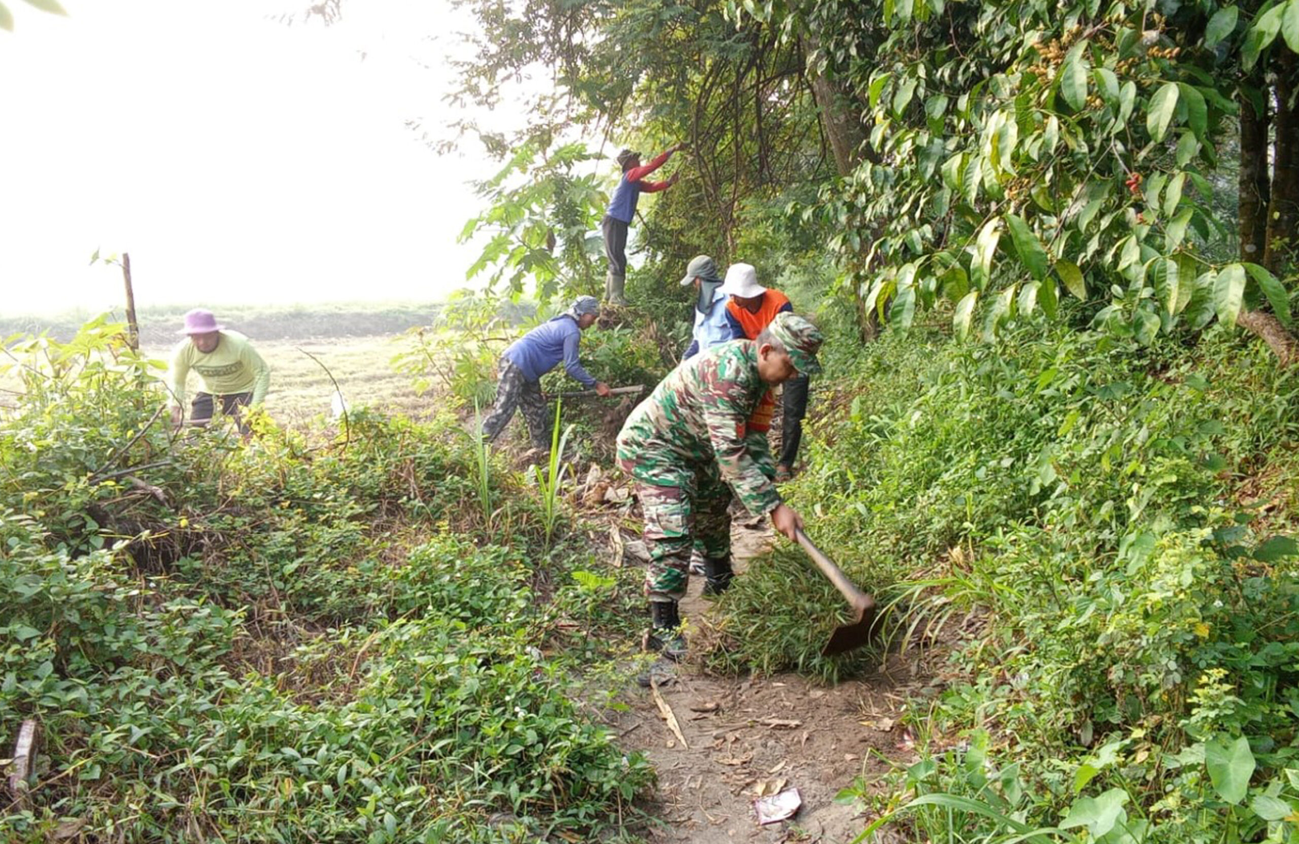 Babinsa Desa Salam Dan Poktan Rukun Makmur Gelar Kerja Bakti Bersihkan Akses Jalan Persawahan Di Dusun Centong