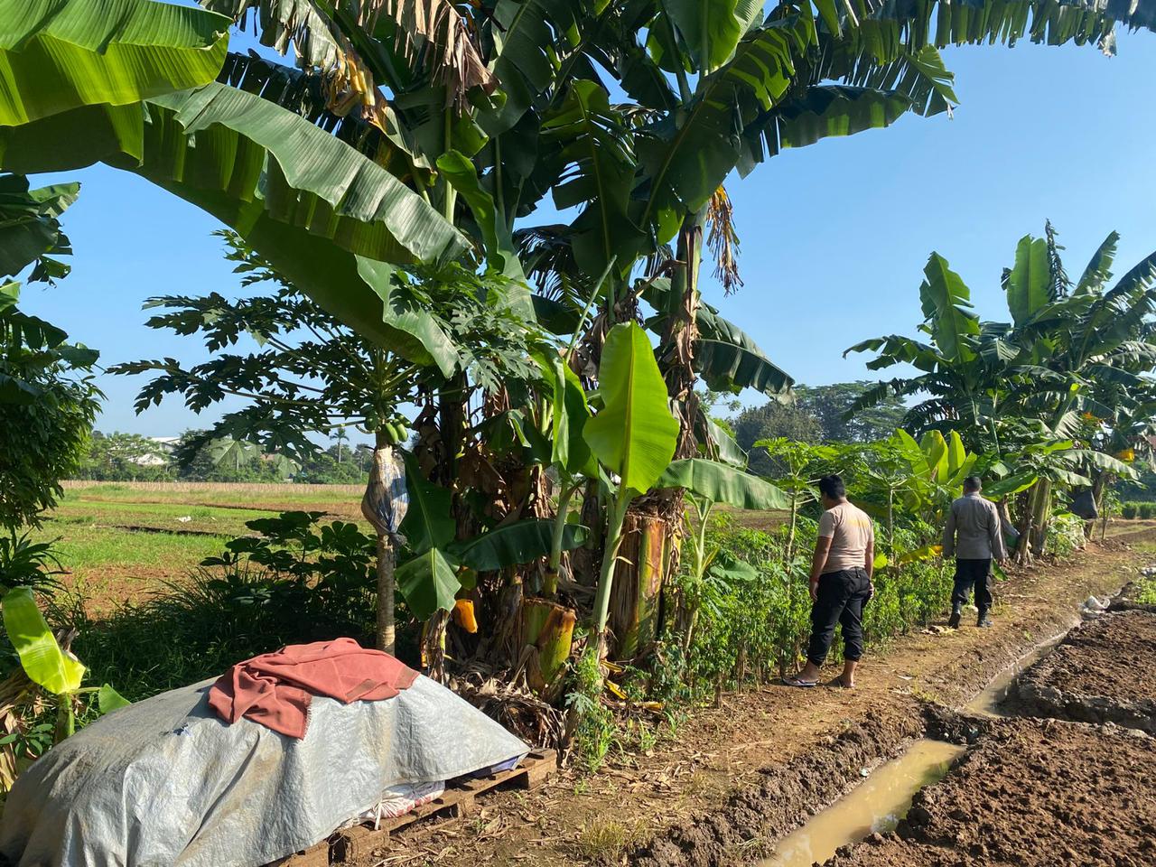 Meningkatkan Ketahanan Pangan, Polsek Cikupa Cek Lahan untuk Penanaman Jagung