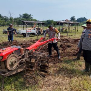 Program Ketahanan Pangan Desa Sukadamai: Wujud Kemandirian Pangan Melalui Penanaman Jagung Hibrida