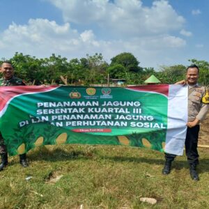 Dukung Swasembada Pangan 2025, Polsek Cikupa Gelar Penanaman Jagung Serentak Kuartal III di Lahan Perhutani Sosial
