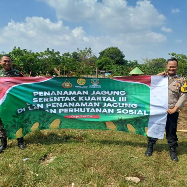 Dukung Swasembada Pangan 2025, Polsek Cikupa Gelar Penanaman Jagung Serentak Kuartal III di Lahan Perhutani Sosial