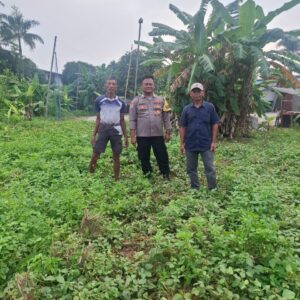 Bhabinkamtibmas Talaga Tinjau Lahan Ketahanan Pangan Milik Warga