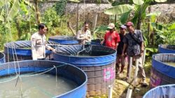 Wakapolsek Cikupa Tinjau Ketahanan Pangan Warga Pasir Jaya, Ajak Manfaatkan Lahan Kosong