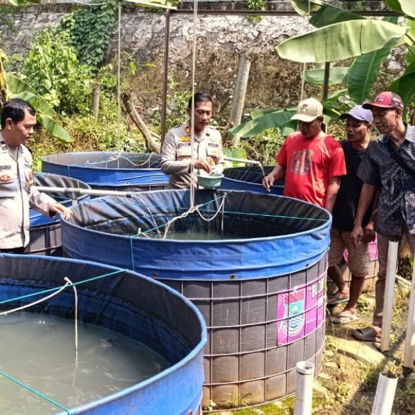 Wakapolsek Cikupa Tinjau Ketahanan Pangan Warga Pasir Jaya, Ajak Manfaatkan Lahan Kosong