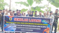 Tingkatkan Ketahanan Pangan, Babinsa Dampingi Petani Belajar di Sekolah Lapang