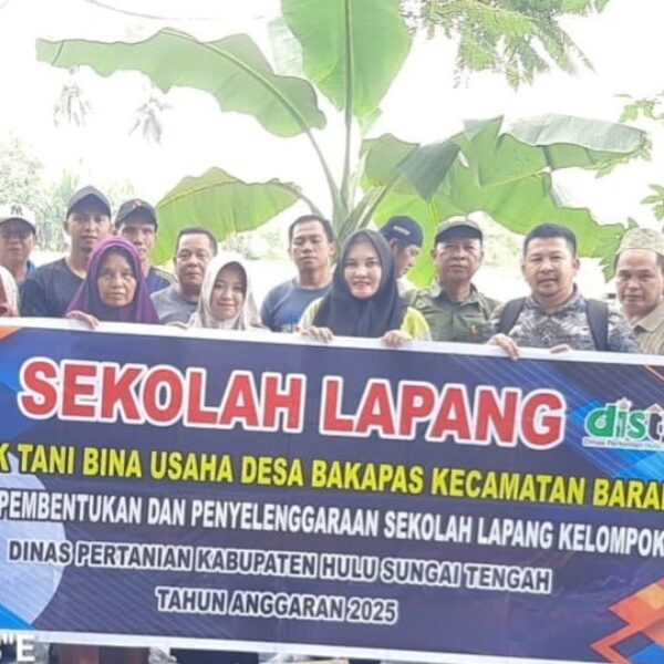 Tingkatkan Ketahanan Pangan, Babinsa Dampingi Petani Belajar di Sekolah Lapang