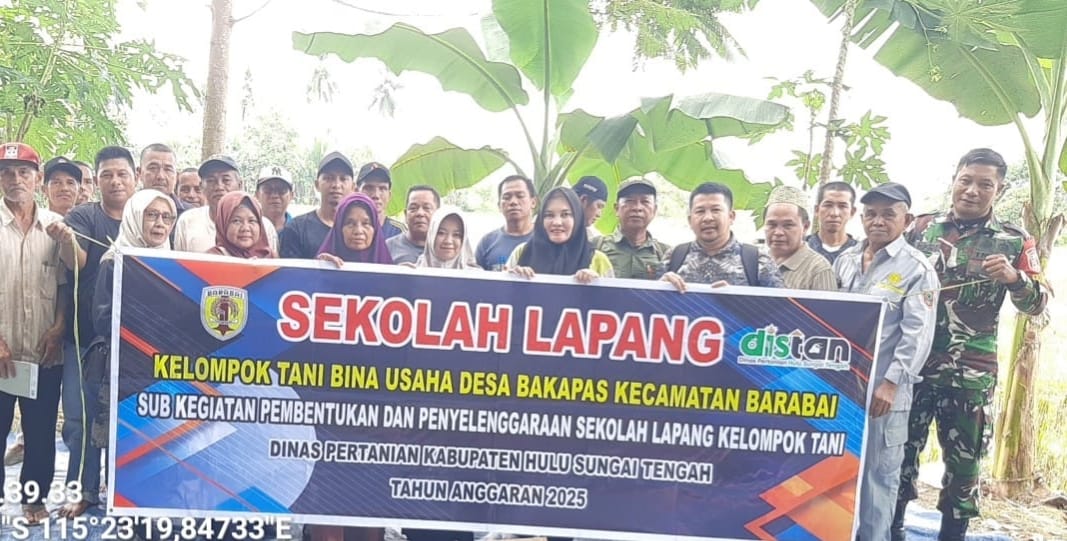 Tingkatkan Ketahanan Pangan, Babinsa Dampingi Petani Belajar di Sekolah Lapang