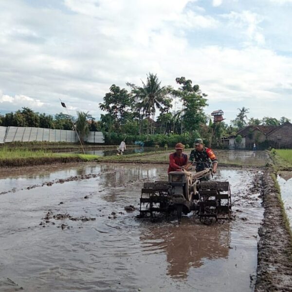 Koramil Banyuanyar Dampingi Petani Sukseskan Gerakan Antisipasi Pangan Nasional