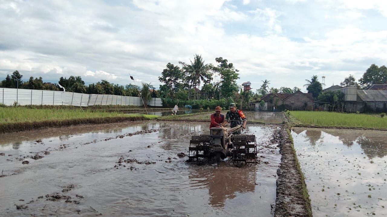 Koramil Banyuanyar Dampingi Petani Sukseskan Gerakan Antisipasi Pangan Nasional