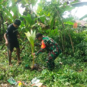 Satgas TMMD 125 Kodim 1506/Namlea Melaksanakan Tanam Bibit Pohon Keras Dengan Target 10.000 Pohon Satgas TMMD 125 Kodim 1506/Namlea Melaksanakan Tanam Bibit Pohon Keras Dengan Target 10.000 Pohon
