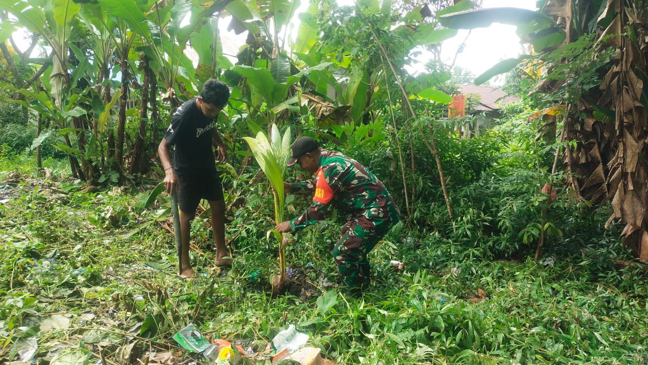 Satgas TMMD 125 Kodim 1506/Namlea Melaksanakan Tanam Bibit Pohon Keras Dengan Target 10.000 Pohon