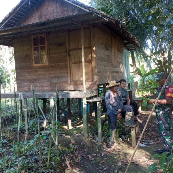Babinsa dan Petani Lombok: Harmoni di Tengah Kebun Desa Jamil
