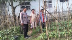 Dukung Ketahanan Pangan, Aiptu Sukarna Ajak Warga Manfaatkan Pekarangan Produktif