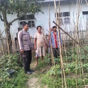 Dukung Ketahanan Pangan, Aiptu Sukarna Ajak Warga Manfaatkan Pekarangan Produktif Dukung Ketahanan Pangan, Aiptu Sukarna Ajak Warga Manfaatkan Pekarangan Produktif