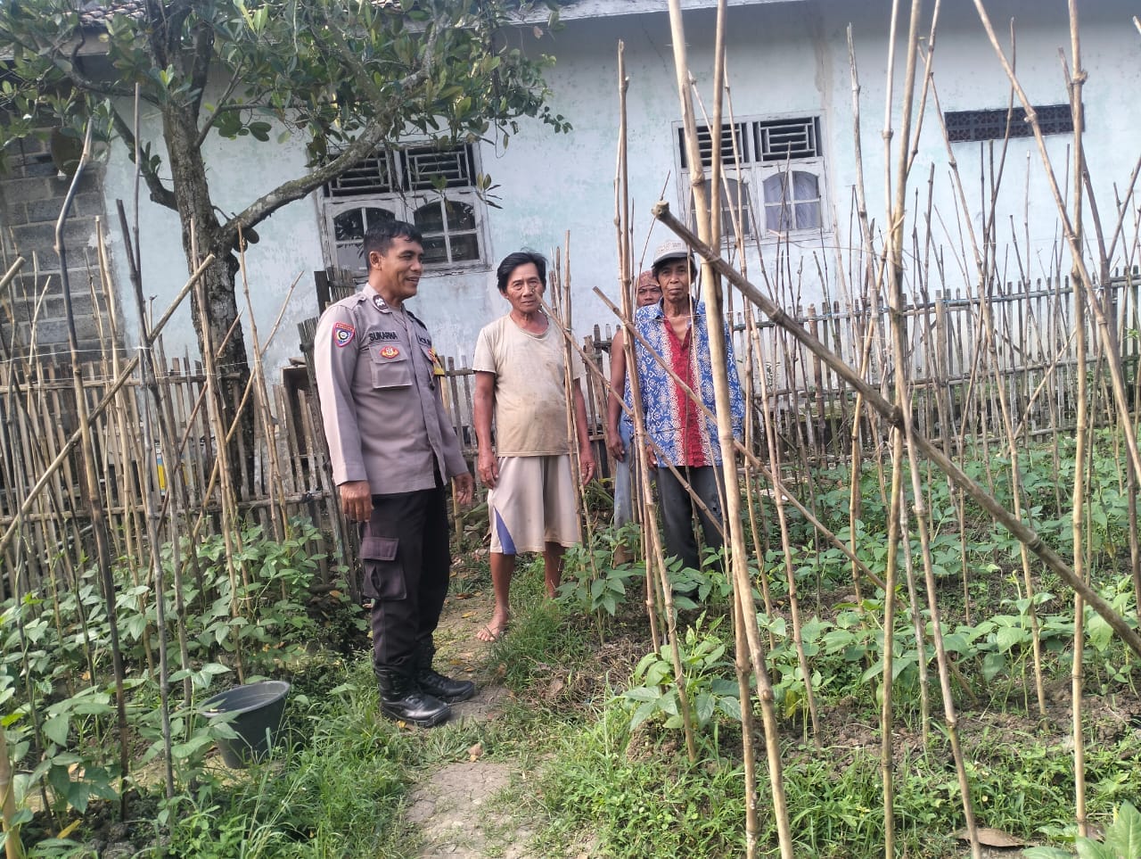 Dukung Ketahanan Pangan, Aiptu Sukarna Ajak Warga Manfaatkan Pekarangan Produktif