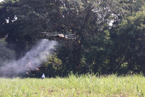 Panglima TNI Kawal Langsung Panen Tebu Untuk Swasembada Gula Nasional