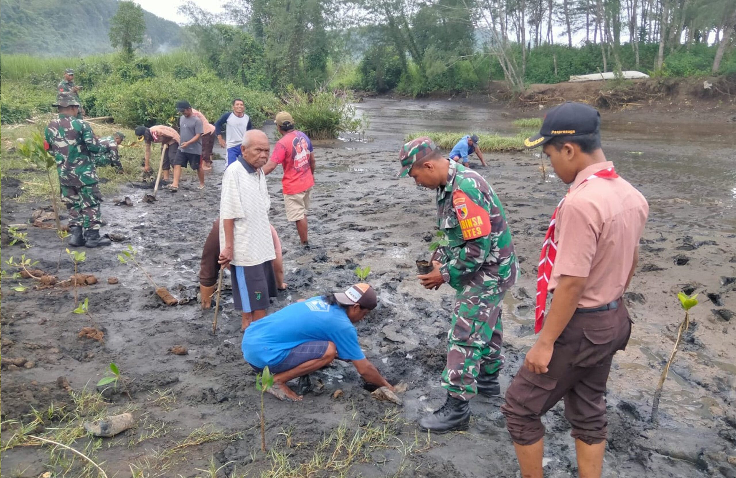 Babinsa Desa Wates, Pramuka Dan Warga Bersatu Lestarikan Alam Dengan Menanam Mangrove