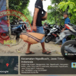 Semakin Resah…! Perjudian Sabung Ayam di Ngadiluwih Tetap Beroperasi, Polres Kediri Kabupaten Tak Ada Tindakan Tegas