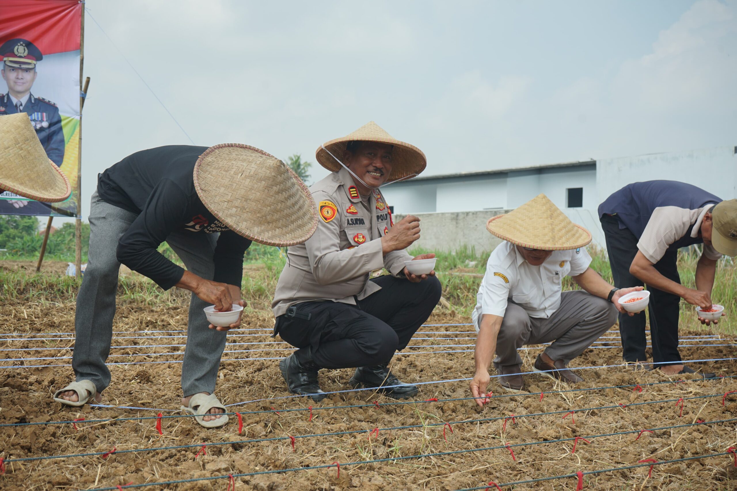 Tanam Jagung Serentak, Polresta Tangerang Komitmen Dukung Swasembada Pangan