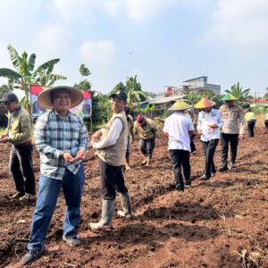 Polsek Cikupa Polresta Tangerang Tanam Jagung Hybrida Serentak: Satu Desa Dua Hektar Polsek Cikupa Polresta Tangerang Tanam Jagung Hybrida Serentak: Satu Desa Dua Hektar