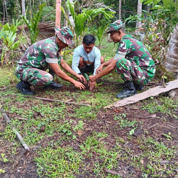 Kodim 1505 Tidore Lestarikan Alam Lewat Penghijauan